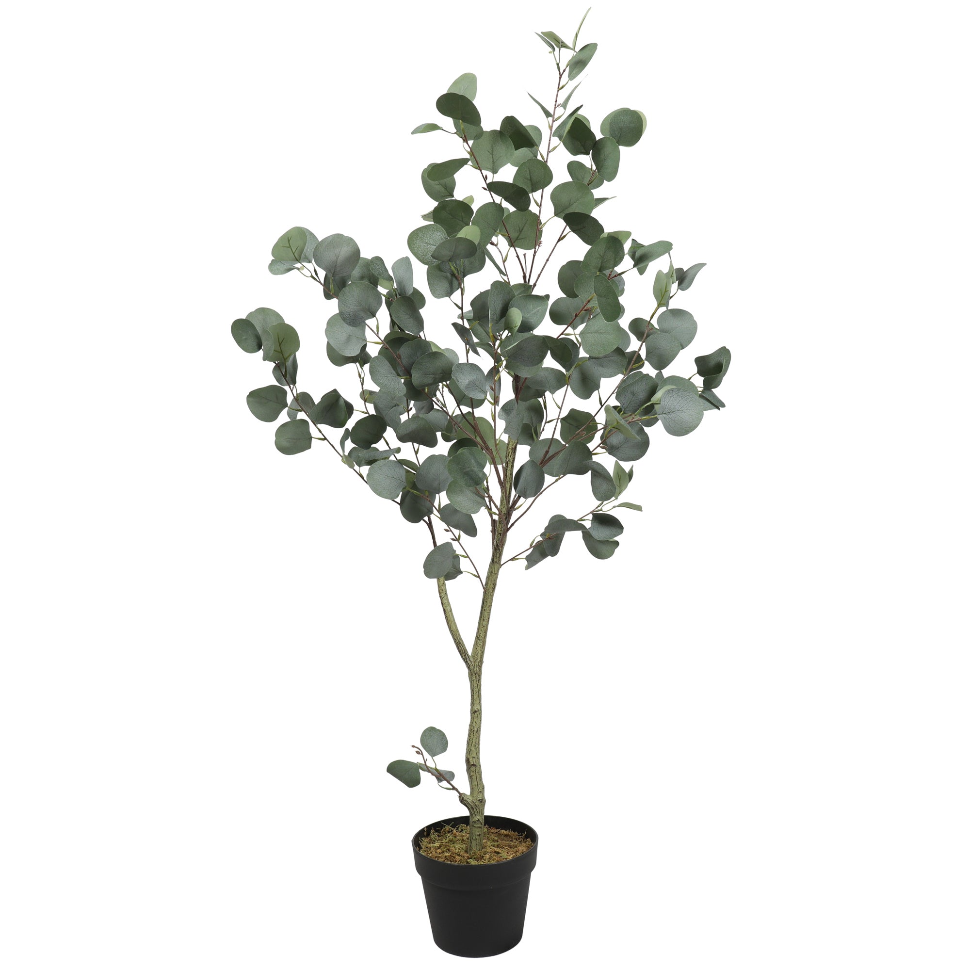 Eukalyptustræ i hvid/grøn, 120 cm