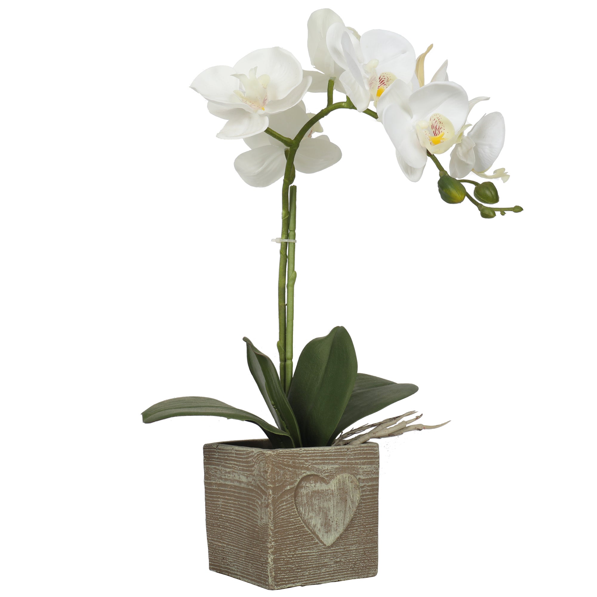 Orkidé i hvid, 38 cm