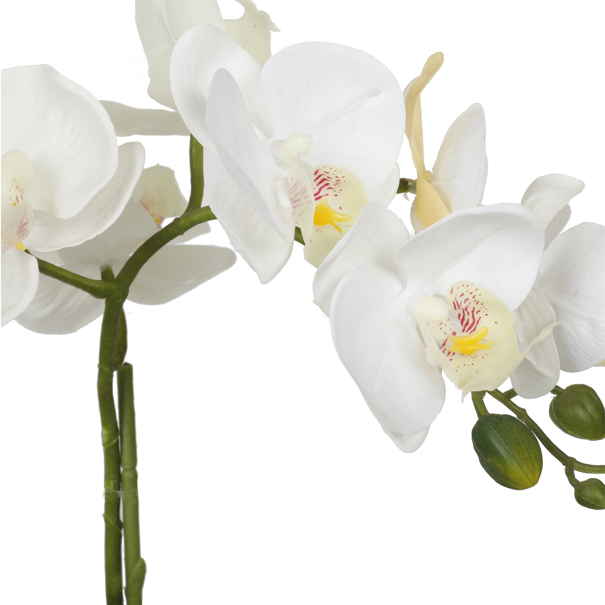 Orkidé i hvid, 38 cm
